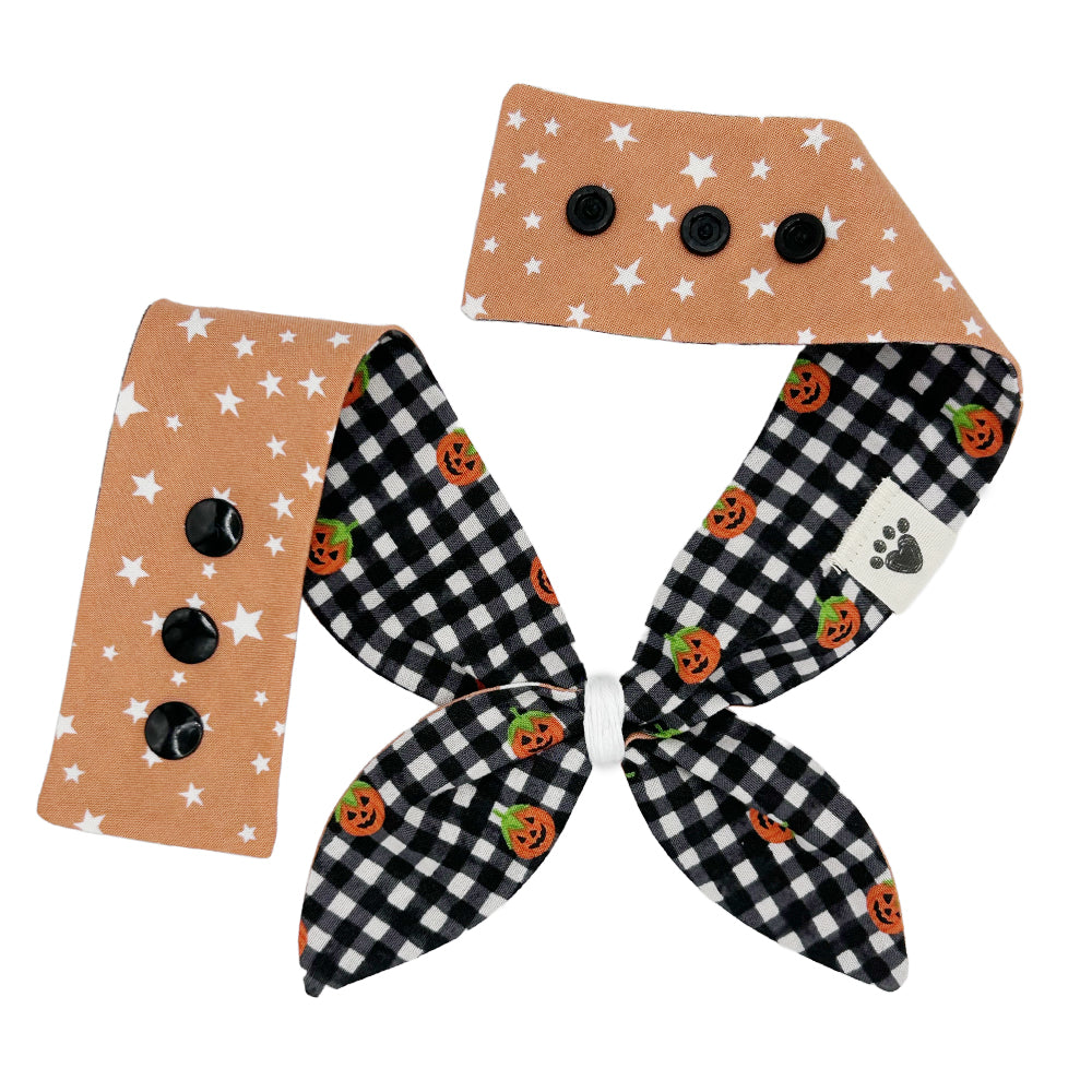 B&W Gingham Pumpkins/Stars on Pumpkin Reversible Dog Neckerchief