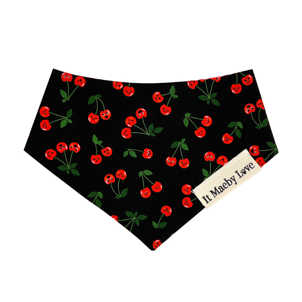 Cherry Cherry/Modern Picnic Gingham Reversible Dog Bandana