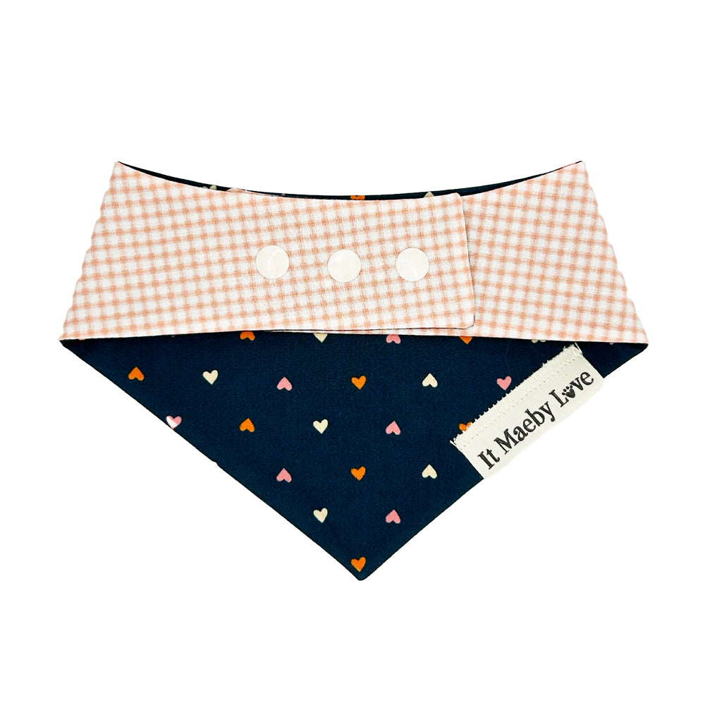 Heart to Heart/Coral Gingham Reversible Dog Bandana