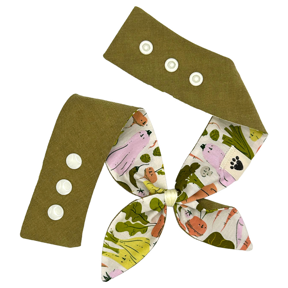 Eat Your Veggies/Moss Woven Reversible Dog Neckerchief