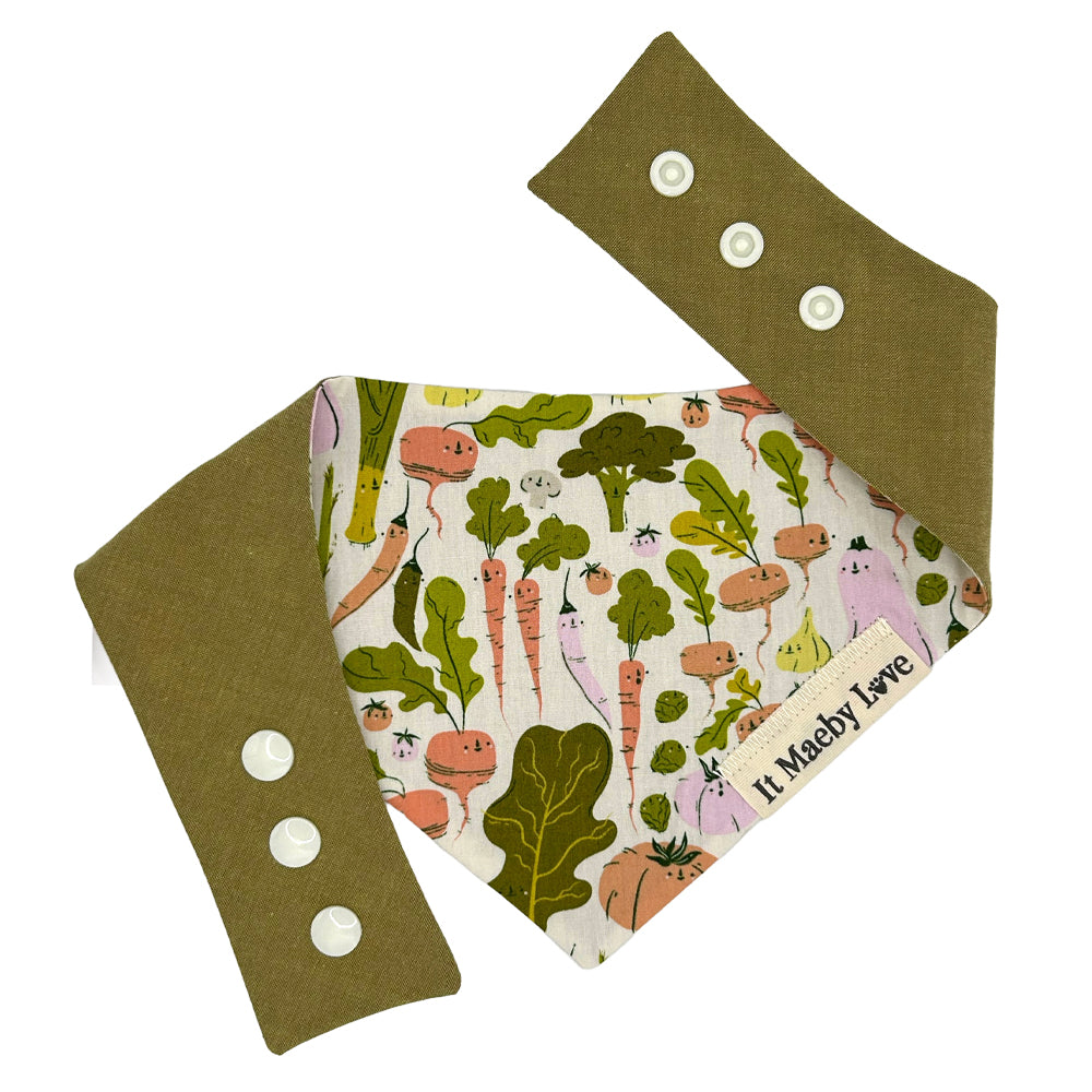 Eat Your Veggies/Moss Woven Reversible Dog Bandana