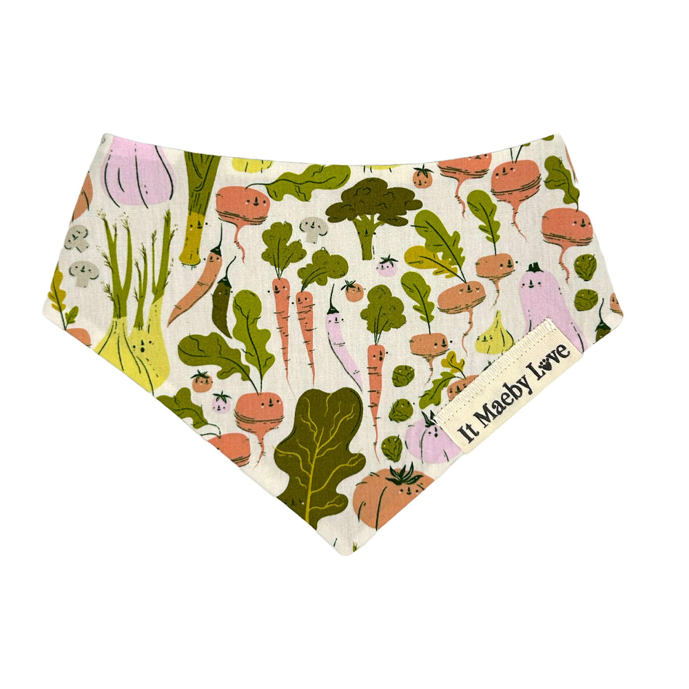 Eat Your Veggies/Moss Woven Reversible Dog Bandana