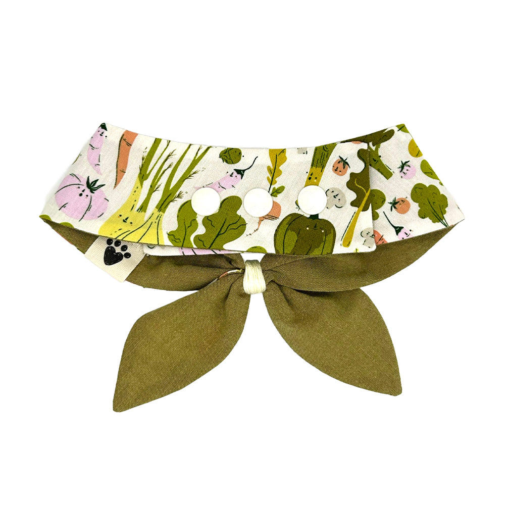 Eat Your Veggies/Moss Woven Reversible Dog Neckerchief
