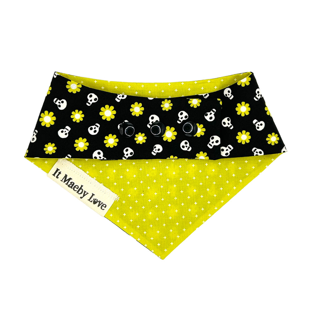 Good Spirits/Spooky Citron Reversible Dog Bandana