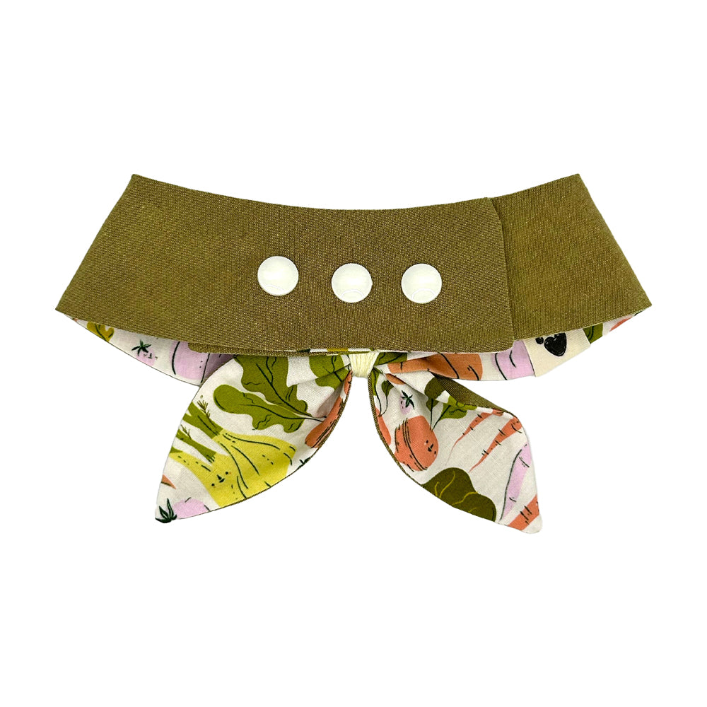Eat Your Veggies/Moss Woven Reversible Dog Neckerchief