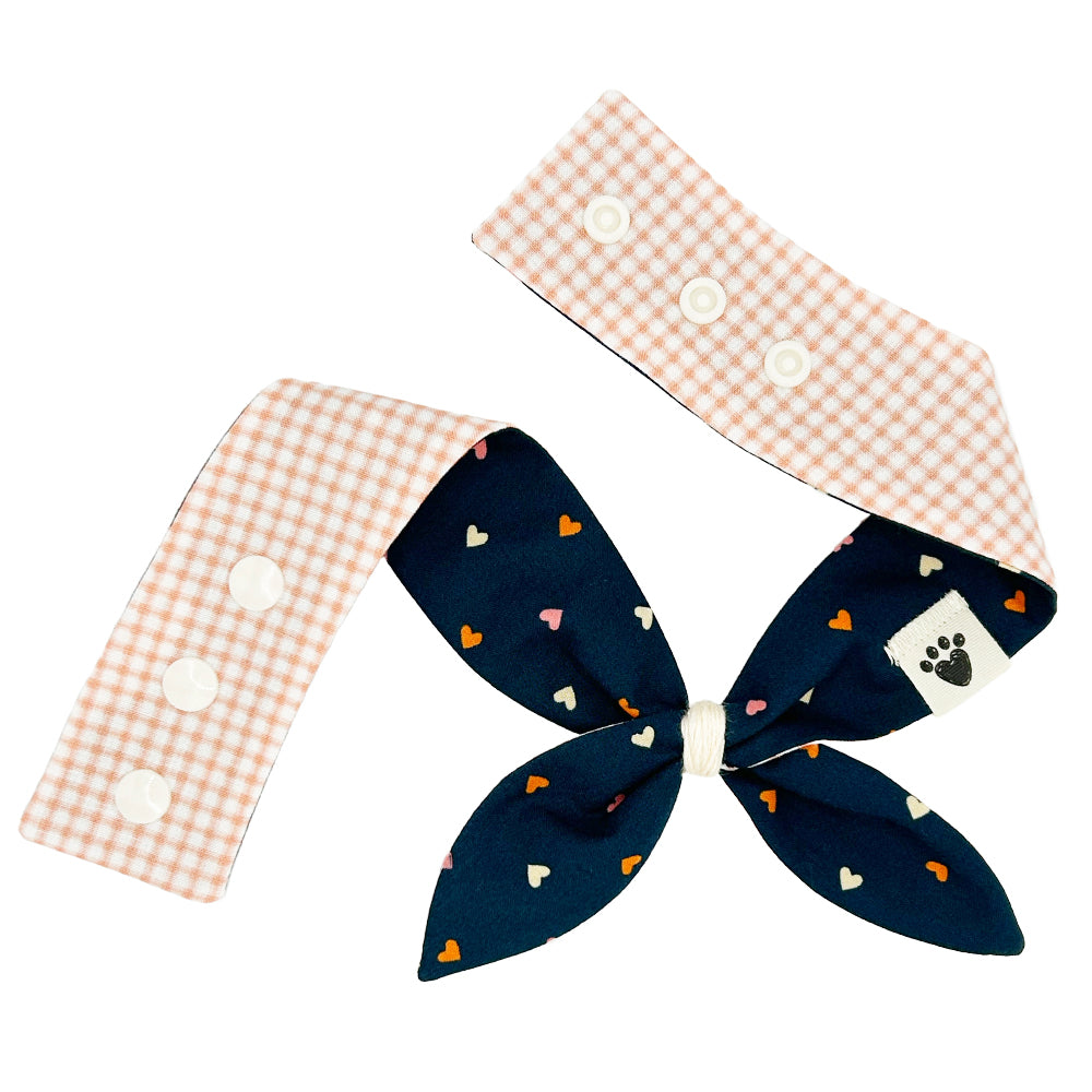 Heart to Heart/Coral Gingham Reversible Dog Neckerchief