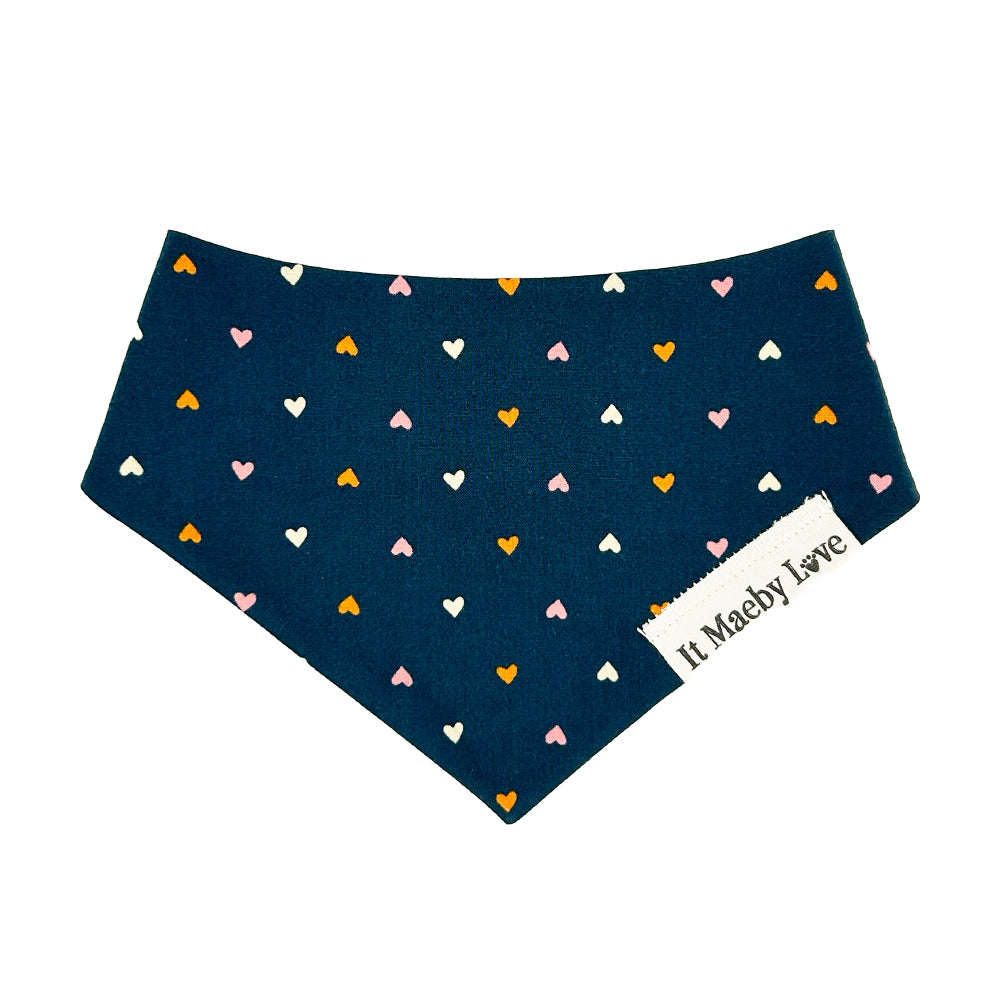 Heart to Heart/Coral Gingham Reversible Dog Bandana