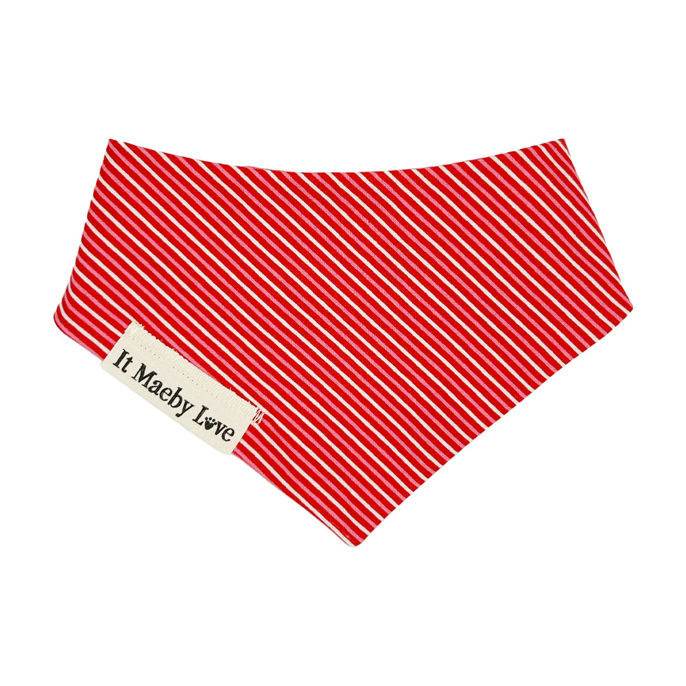 XOXO/Heart Candy Stripes Reversible Dog Bandana