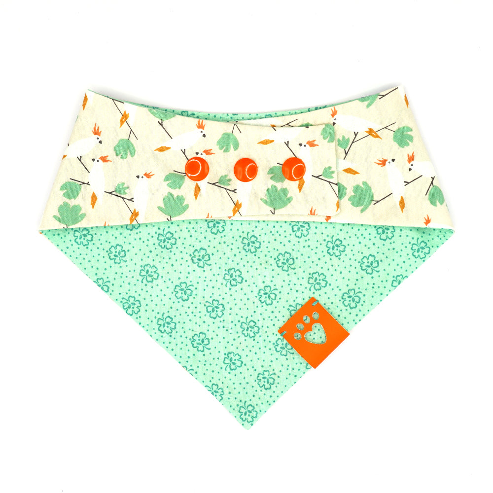 Reversible bandana for dogs. Snaps on back make it adjustable. One side is Light Green background with dark green four leaf clovers and the other side has a Beige background with white, orange and green cockatiel birds. Orange tag with heart paw cut out on side.