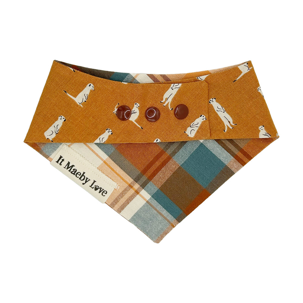 Meerkat Meeting/Watering Hole Plaid Reversible Dog Bandana