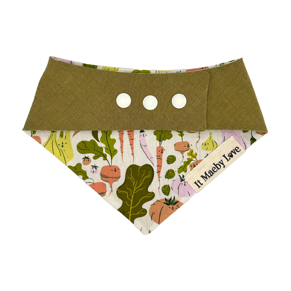 Eat Your Veggies/Moss Woven Reversible Dog Bandana