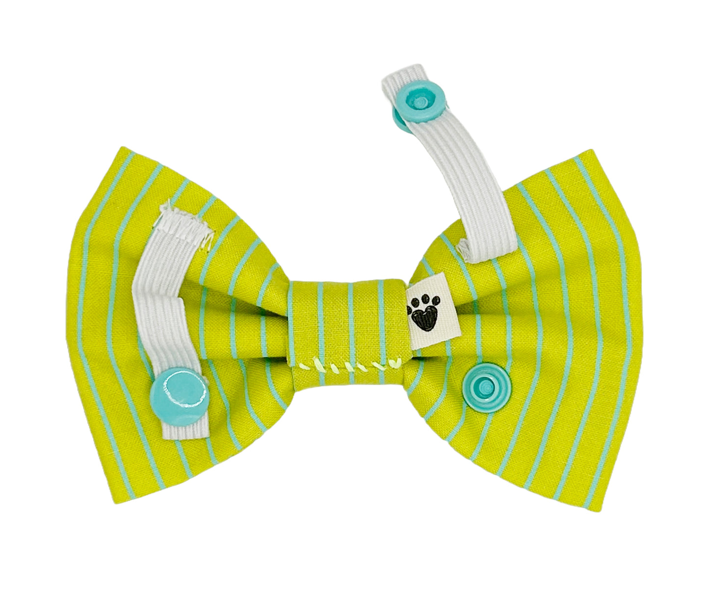 Neon Stripes Blue & Green Pet Bow Tie