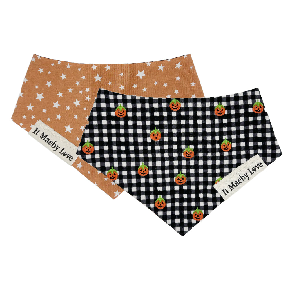 B&W Gingham Pumpkins/Stars on Pumpkin Reversible Dog Bandana