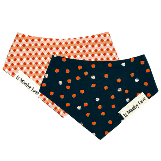 Berry Blue/Tangerine Trellis Reversible Dog Bandana