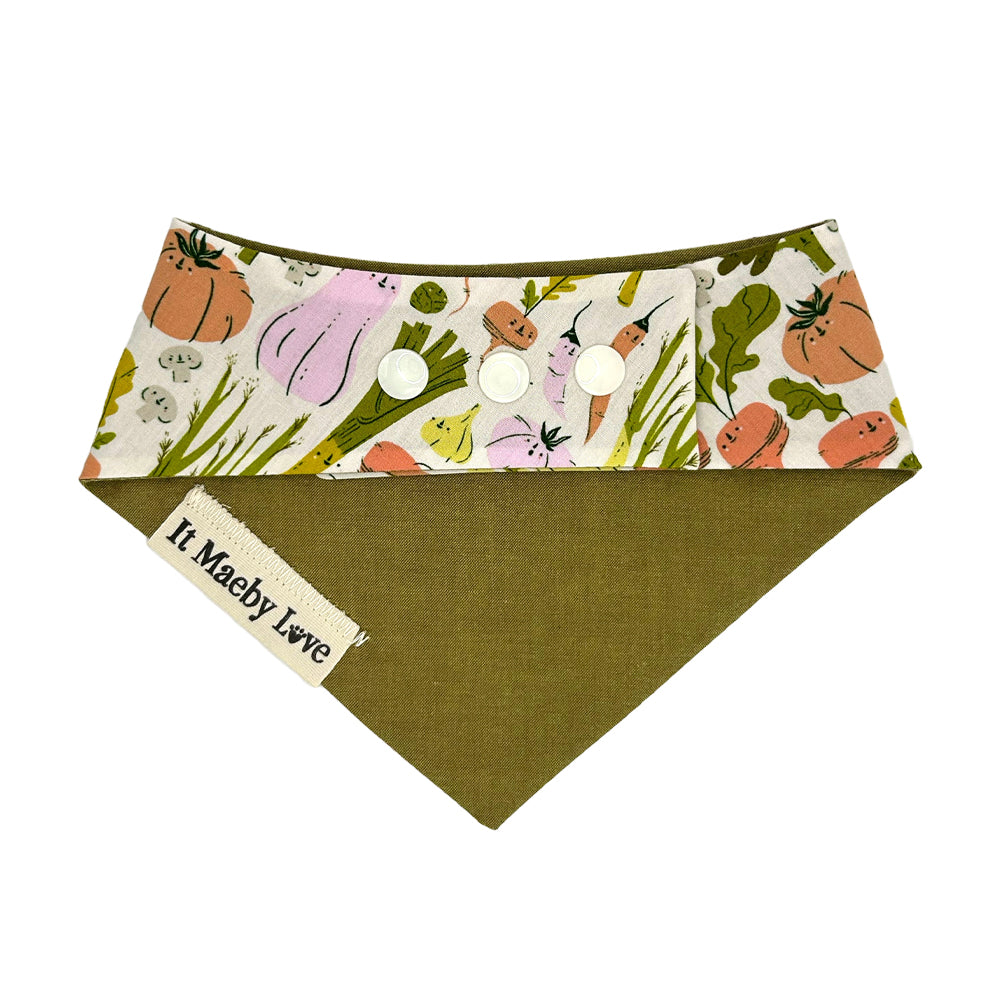 Eat Your Veggies/Moss Woven Reversible Dog Bandana