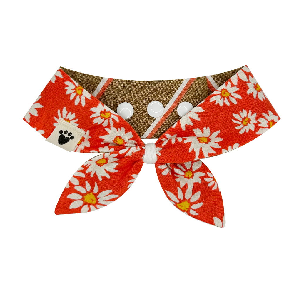 Fruit Punch Daisy/Neo-PAW-litan Reversible Dog Neckerchief