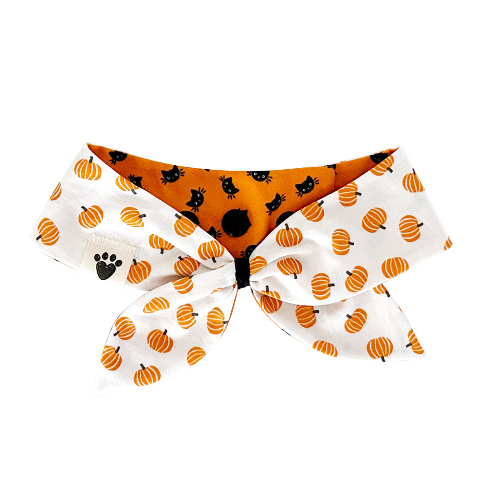 Happy Meow-loween/Orange You Gourdgeous? Reversible Dog Neckerchief