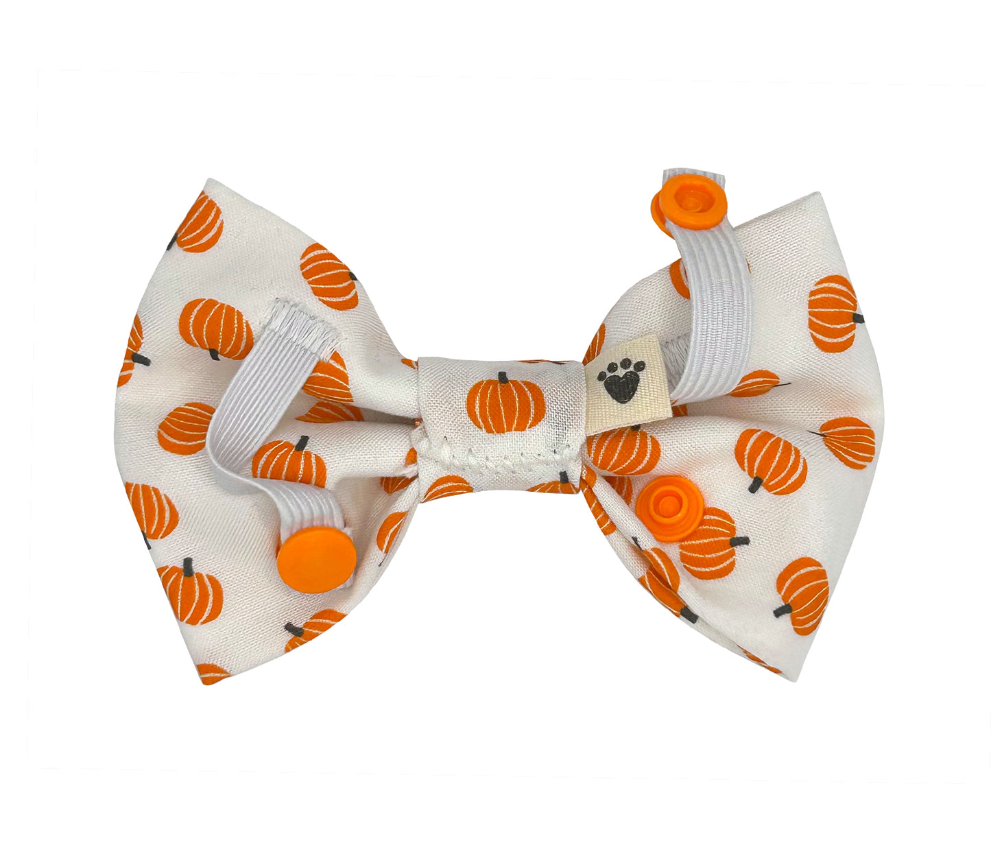 Orange You Gourdgeous? Pet Bow Tie