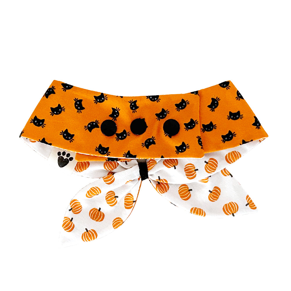 Happy Meow-loween/Orange You Gourdgeous? Reversible Dog Neckerchief