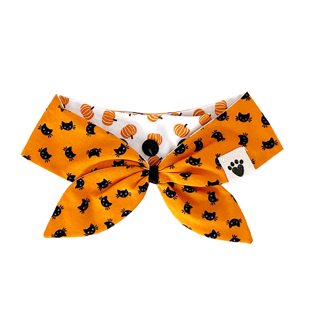 Happy Meow-loween/Orange You Gourdgeous? Reversible Dog Neckerchief