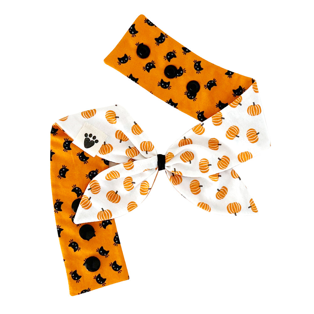 Happy Meow-loween/Orange You Gourdgeous? Reversible Dog Neckerchief