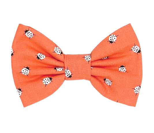 Ladybug Luck Pet Bow Tie