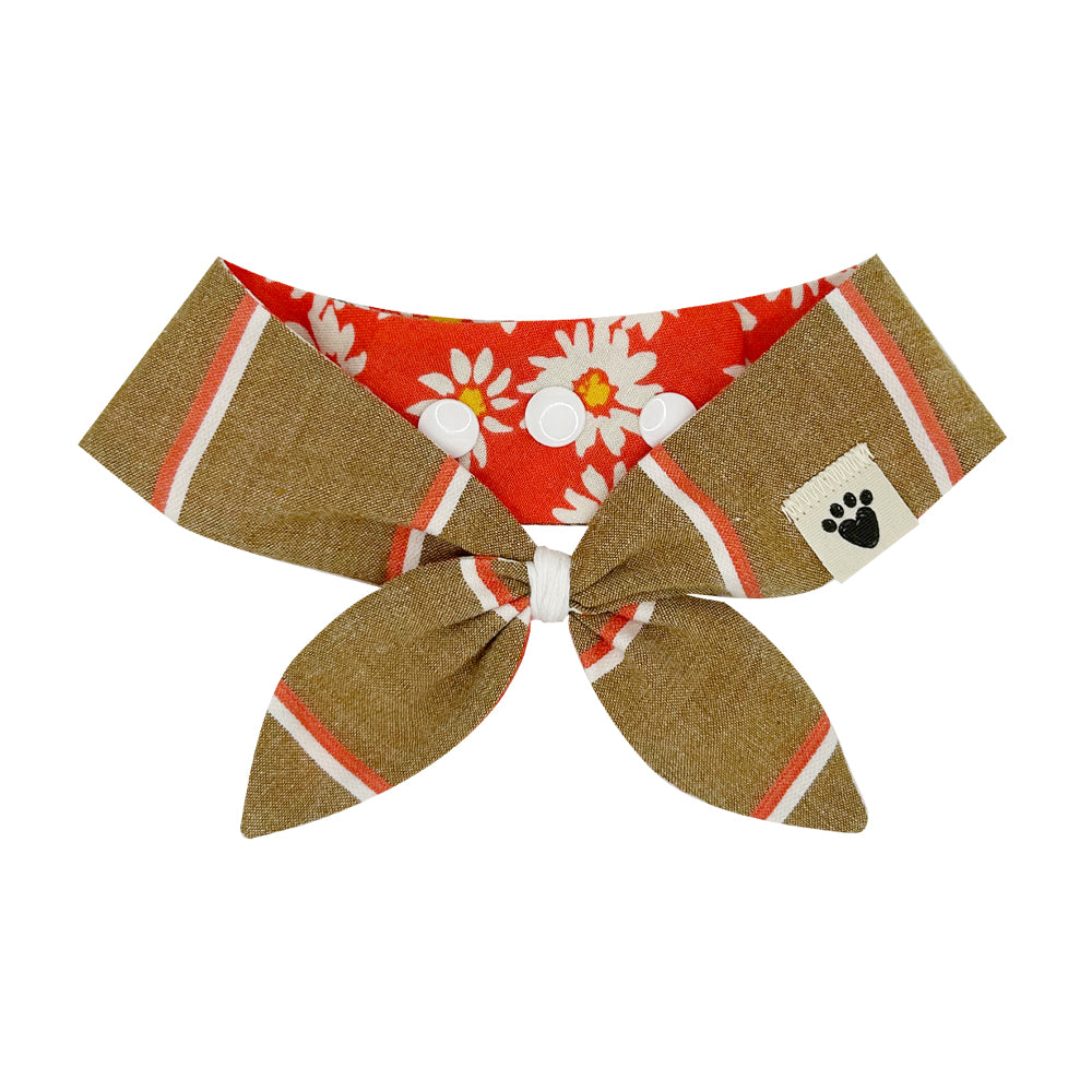 Fruit Punch Daisy/Neo-PAW-litan Reversible Dog Neckerchief