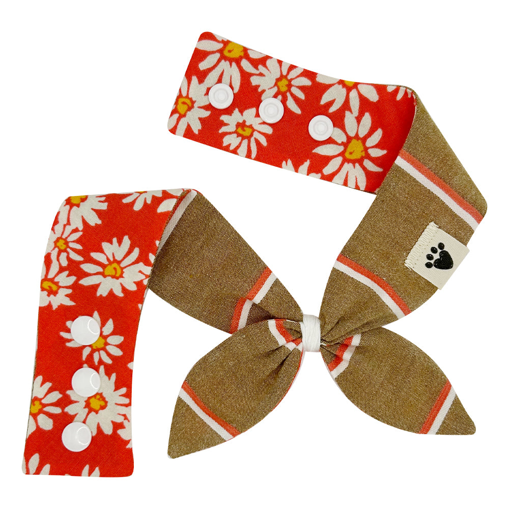 Fruit Punch Daisy/Neo-PAW-litan Reversible Dog Neckerchief