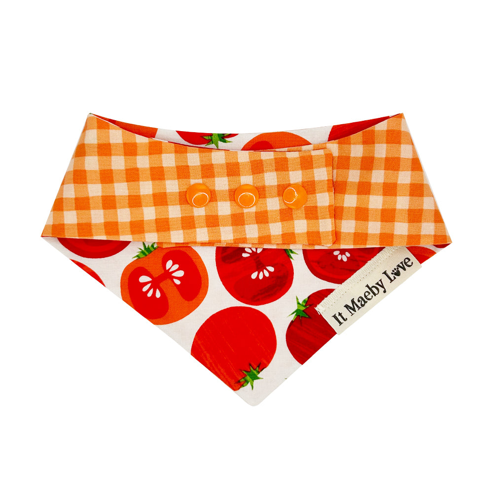 ToMAYto ToMAHto/Bright Orange Gingham Reversible Dog Bandana