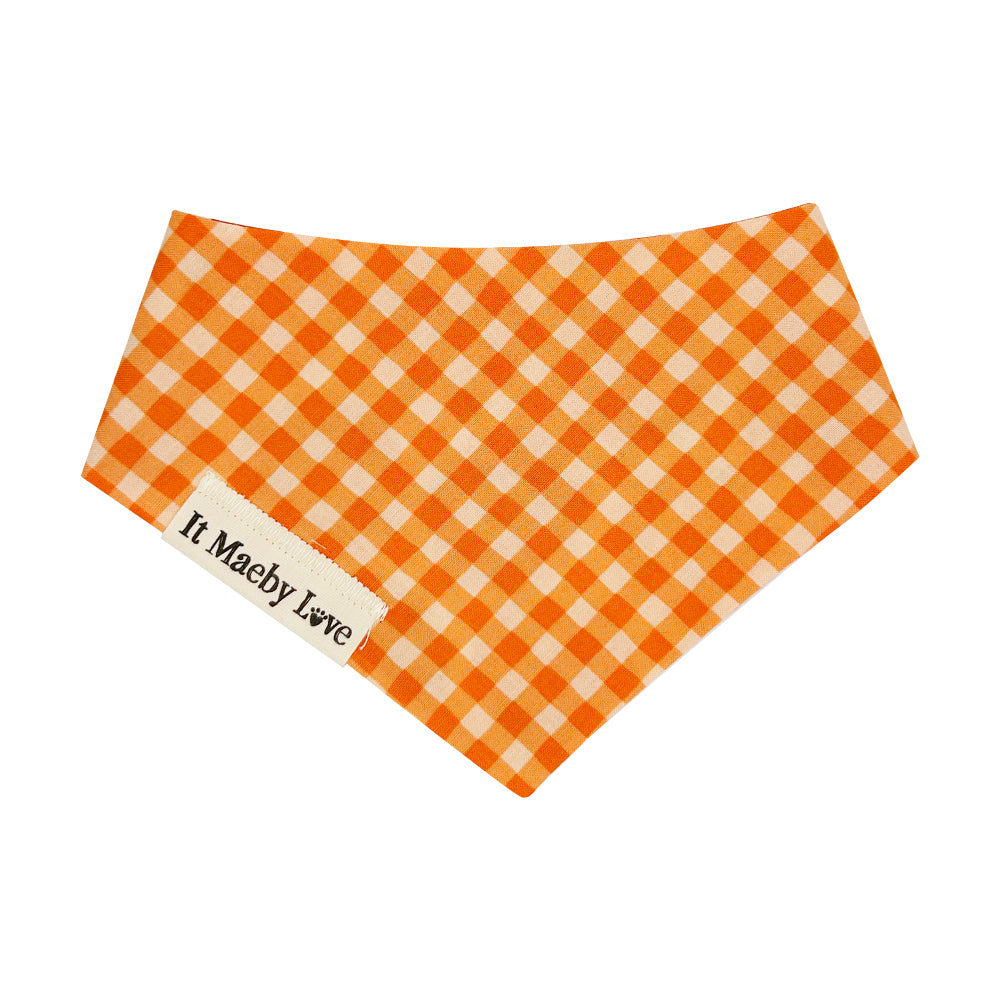 ToMAYto ToMAHto/Bright Orange Gingham Reversible Dog Bandana