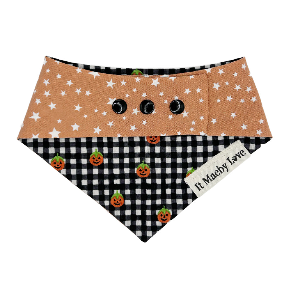 B&W Gingham Pumpkins/Stars on Pumpkin Reversible Dog Bandana