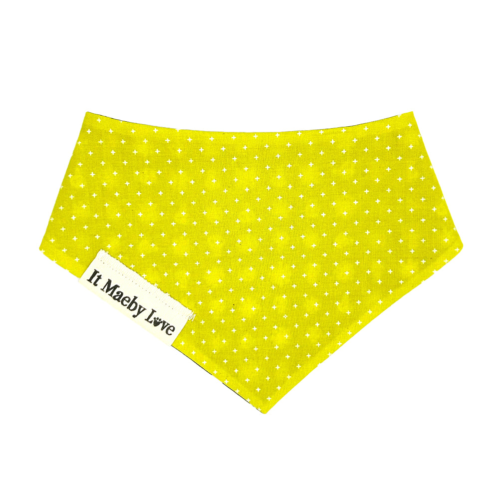 Good Spirits/Spooky Citron Reversible Dog Bandana