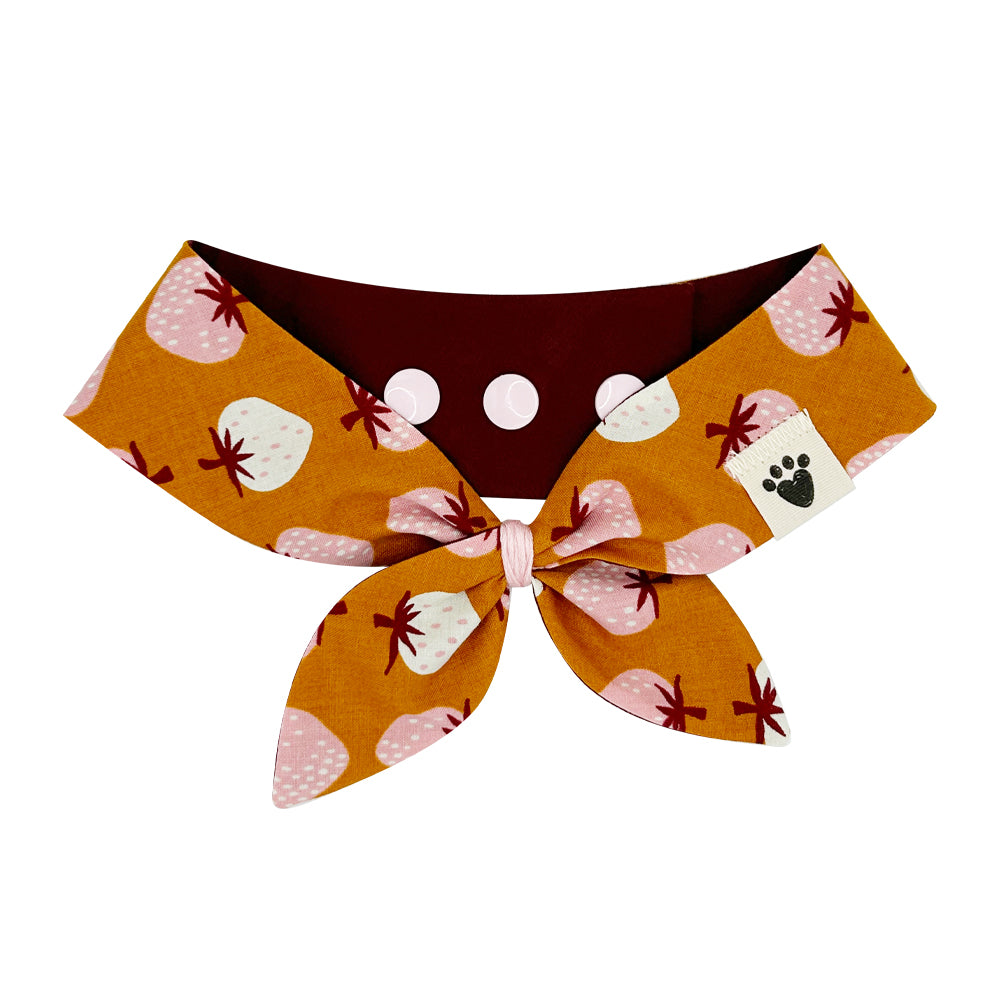 Strawberry Cobbler/Bright Burgundy Reversible Dog Neckerchief