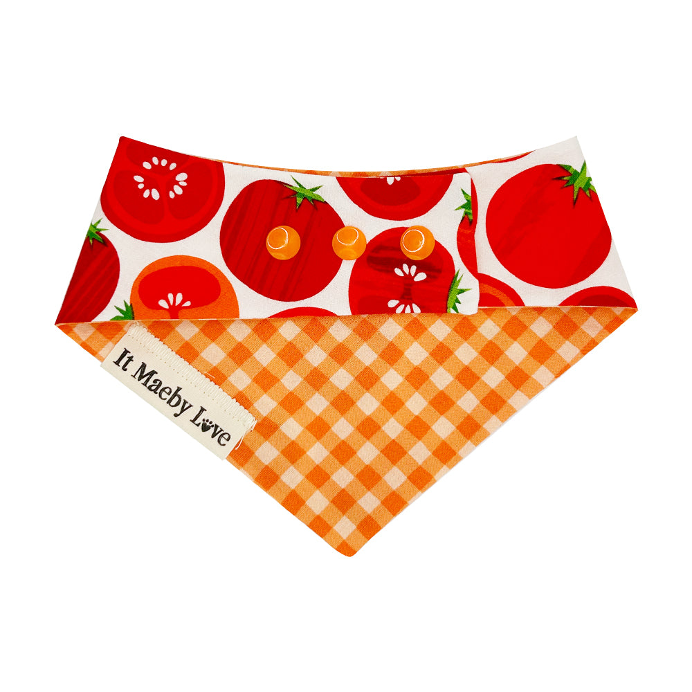 ToMAYto ToMAHto/Bright Orange Gingham Reversible Dog Bandana