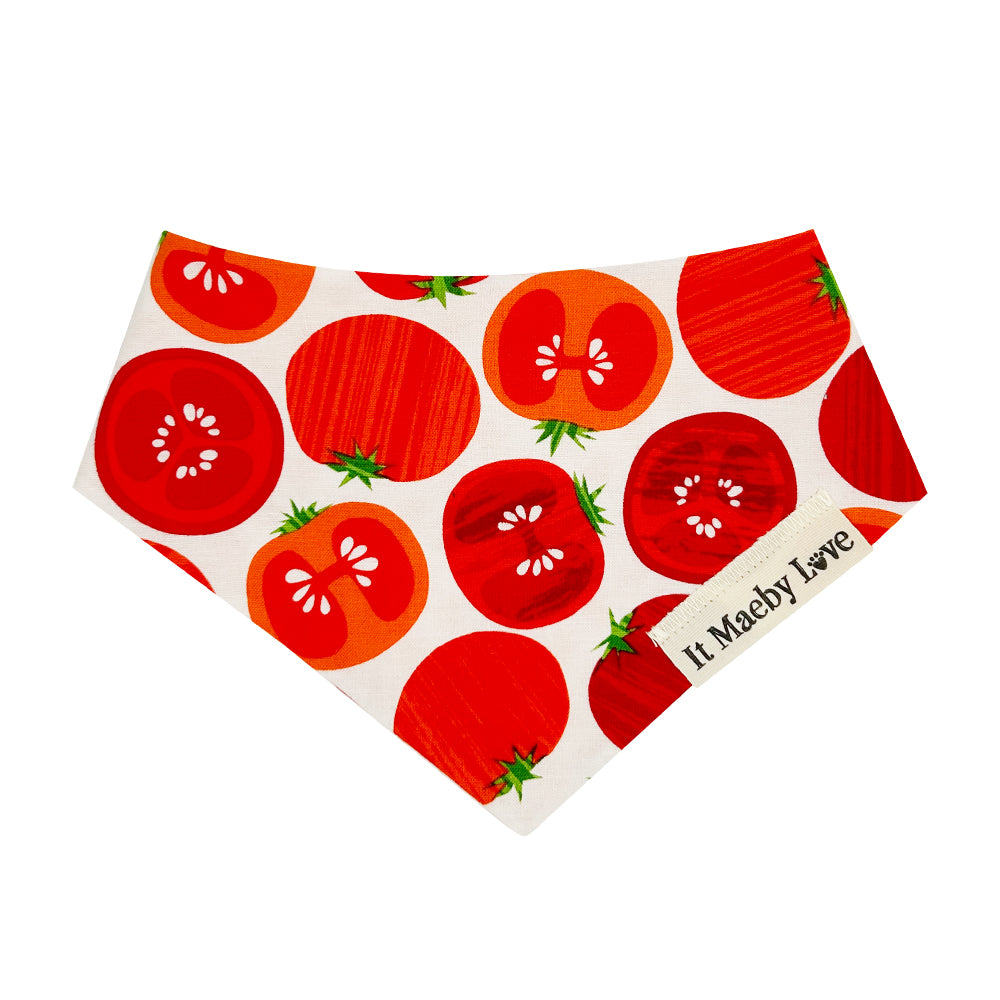 ToMAYto ToMAHto/Bright Orange Gingham Reversible Dog Bandana