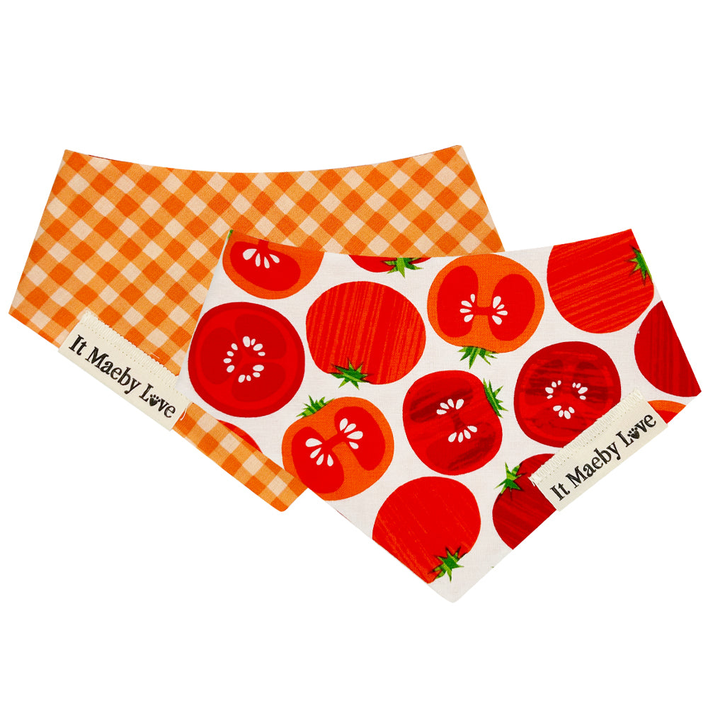 ToMAYto ToMAHto/Bright Orange Gingham Reversible Dog Bandana