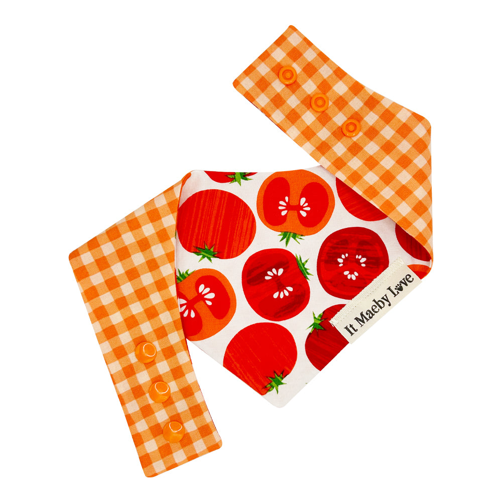 ToMAYto ToMAHto/Bright Orange Gingham Reversible Dog Bandana